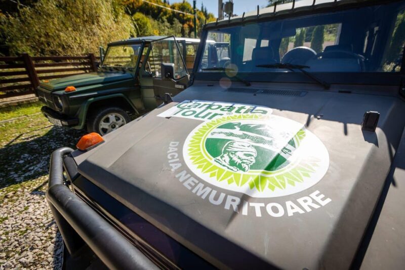 From Bucharest: Brdetu 4x4 Tour with Lunch, Hotel Pick-Up - The Return to Bucharest