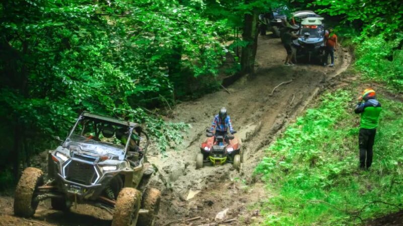 From Bucharest: BUGGY Quad Tour in the Carpathian Mountains - Key Points