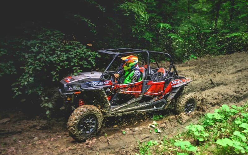 From Bucharest: BUGGY Quad Tour in the Carpathian Mountains - Who Is This Tour Best For?