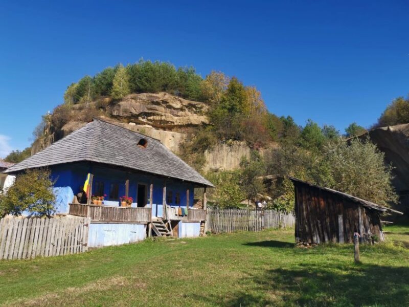 From Bucharest: Carpathian Villages and Sinaia Day Trip - Key Points