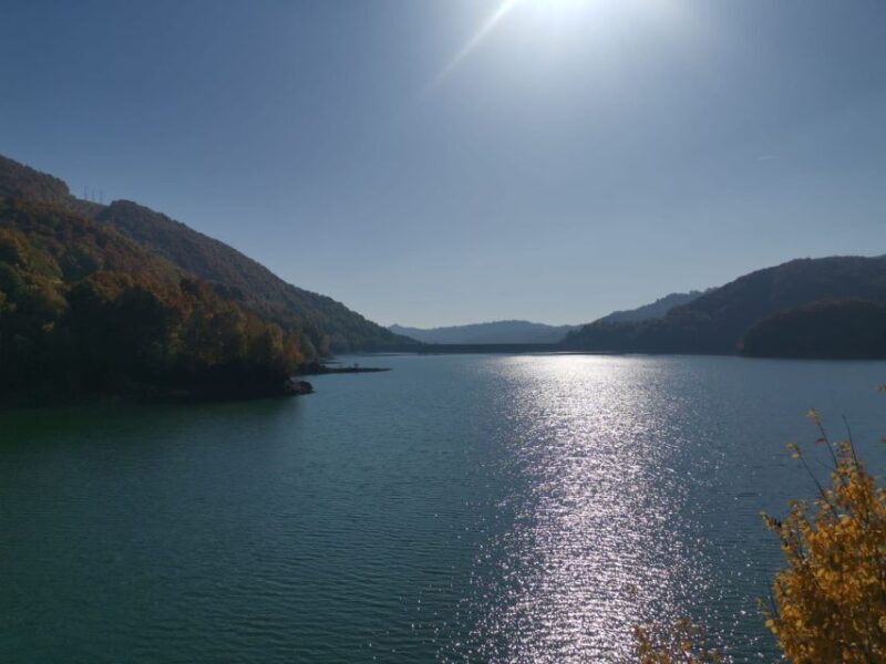 From Bucharest: Carpathian Villages and Sinaia Day Trip - Who Should Consider This Tour?