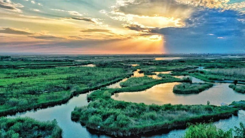 From Bucharest: Danube Delta Private Day Trip with Boat Tour - Discovering the Danube Delta: What to Expect