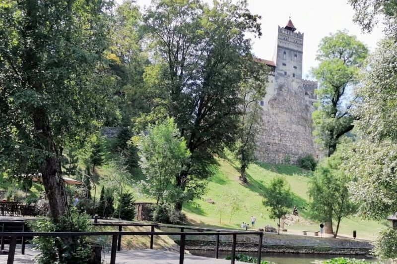 From Bucharest: Dracula's Castle & Bear Sanctuary Adventure - FAQ