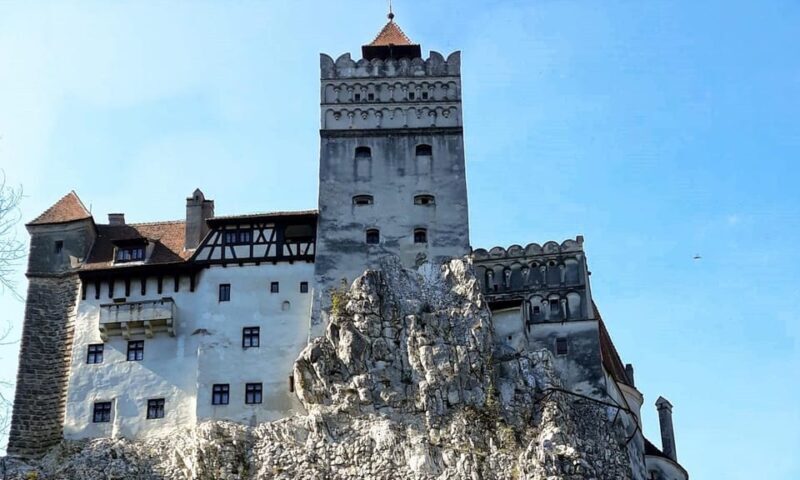 From Bucharest: Dracula's Castle & Bear Sanctuary Adventure - Final Thoughts