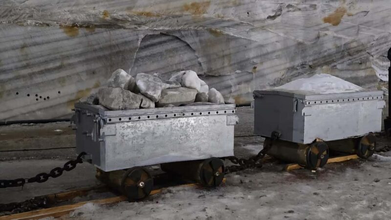 From Bucharest: Dracula's tomb & Salt mine Private Day Trip - Cost & Value