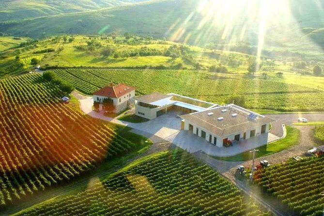From Bucharest: Exclusive Wine Tasting Tour in Dealu Mare - Setting the Scene: Why Choose This Tour?