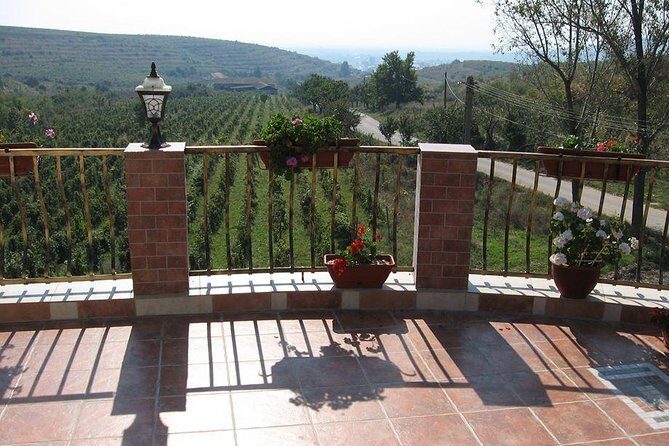 From Bucharest: Exclusive Wine Tasting Tour in Dealu Mare - Who Will Love This Tour?