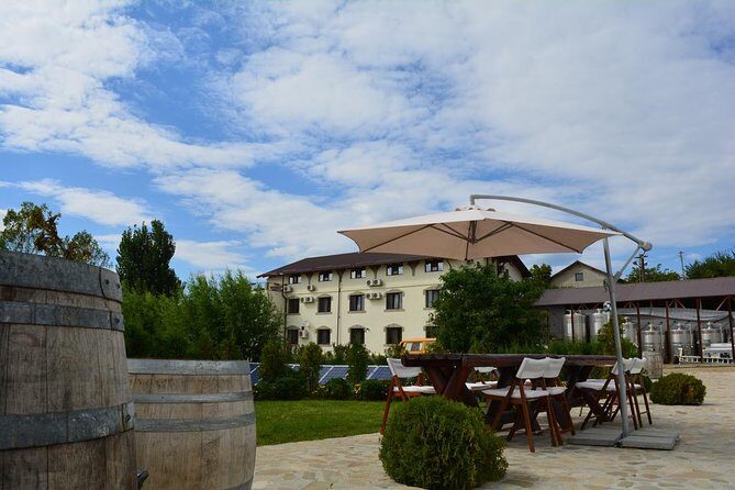From Bucharest: Exclusive Wine Tasting Tour in Dealu Mare - Final Thoughts: Is It Worth It?