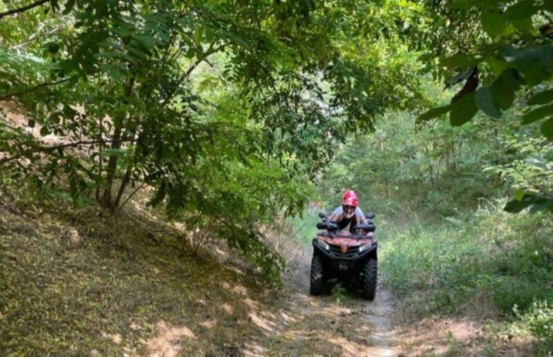From Bucharest: Forest and Hills ATV Quad Bike Tour - Considerations and Practicalities