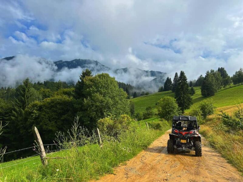From Bucharest: Off-Road in the Carpathian Mountains - What to Expect from the Off-Road Adventure