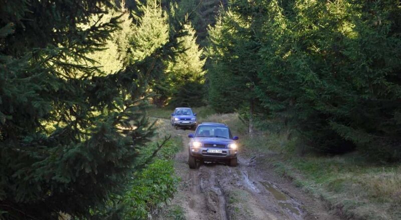 From Bucharest: Off-Road in the Carpathian Mountains - Who is This Tour Best For?