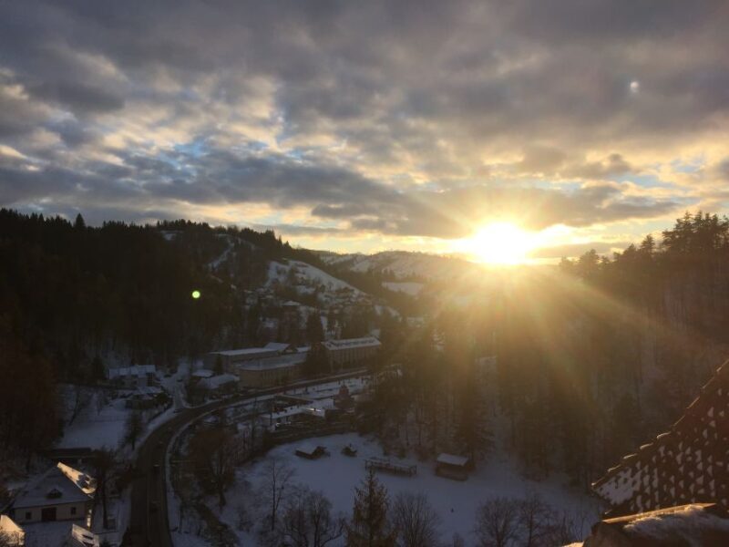 From Bucharest: Pele and Bran Castles Private Tour - Who Is This Tour Best For?