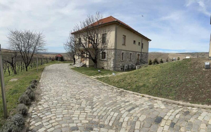 From Bucharest: Prahova Salt Mine and Wine Tasting Tour - Key Points