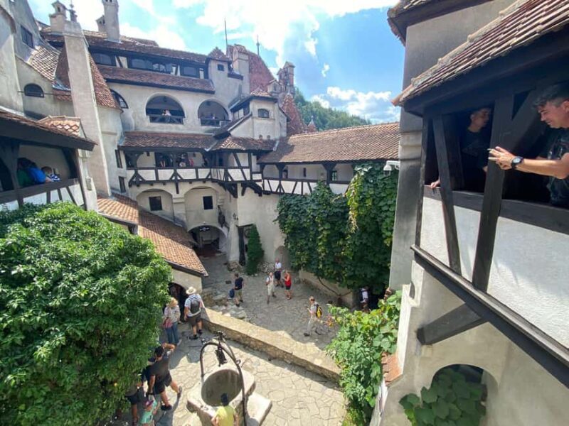 From Bucharest: Private Day Tour to Dracula's Castle - Pricing and Value