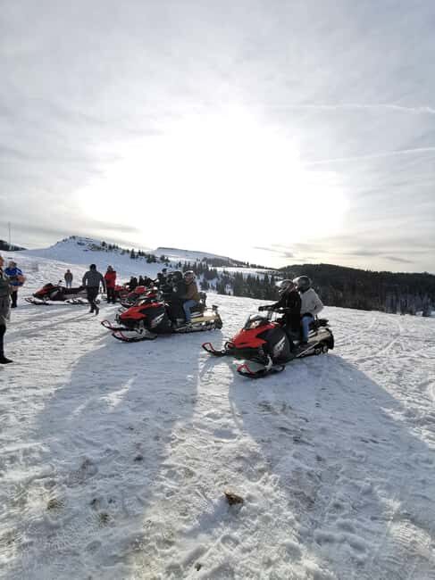 From Bucharest: Snowmobile Tour in the Carpathian Mountains - Key Points