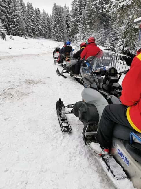 From Bucharest: Snowmobile Tour in the Carpathian Mountains - Authentic Experiences: Reviews from Travelers