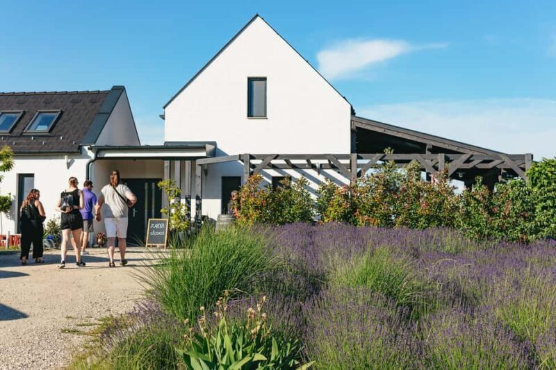 From Budapest: Half-Day Countryside Wine Tour with Meal - Key Points