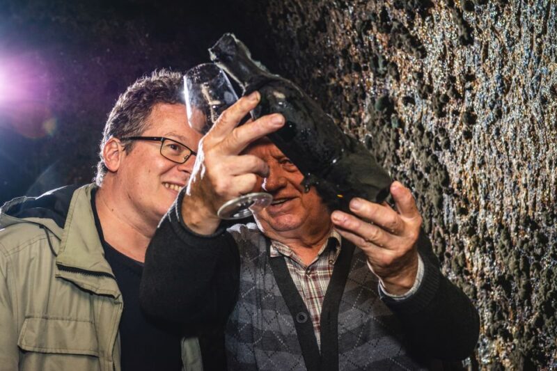 From Budapest: Mátra Hills Wine Tour - Final Thoughts