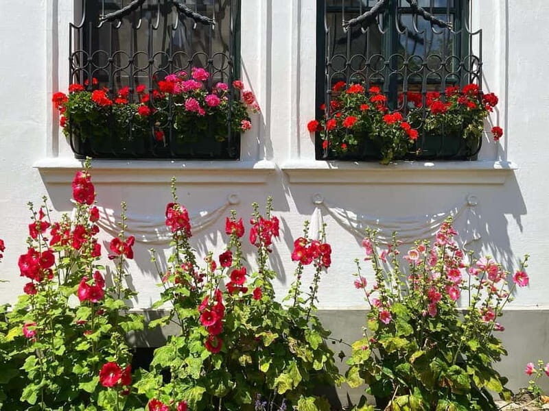 From Budapest: Szentendre Art and History with StreetFood - FAQ