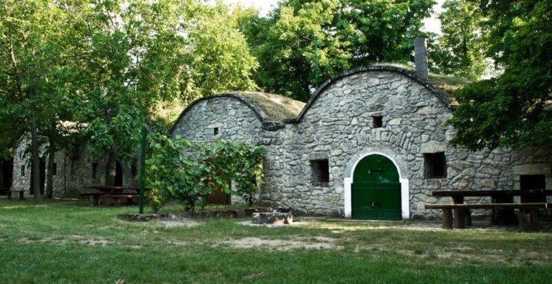 From Budpaest: Páty Wine Village Tour with Tastings - Is This Tour Worth It?