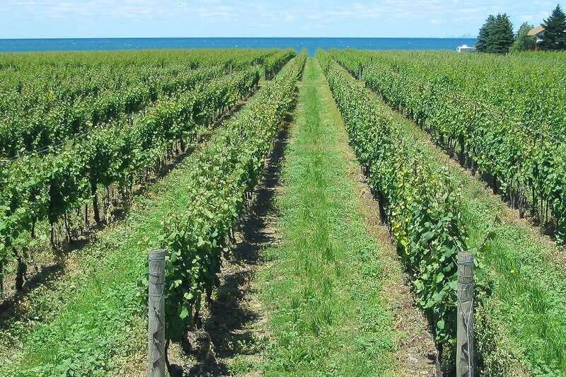 From Buffalo: Customizable Private Day Trip to Niagara Falls - Final Thoughts