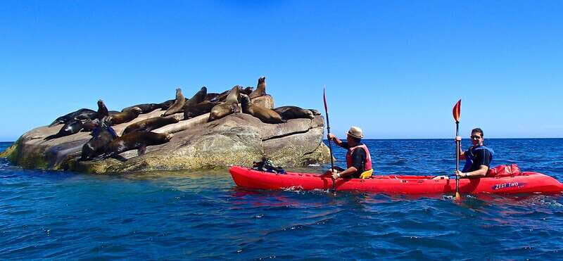 From Cabo: Cabo Pulmo Marine Park Snorkeling and Kayaking - Exploring Cabo Pulmo: An Underwater Gem