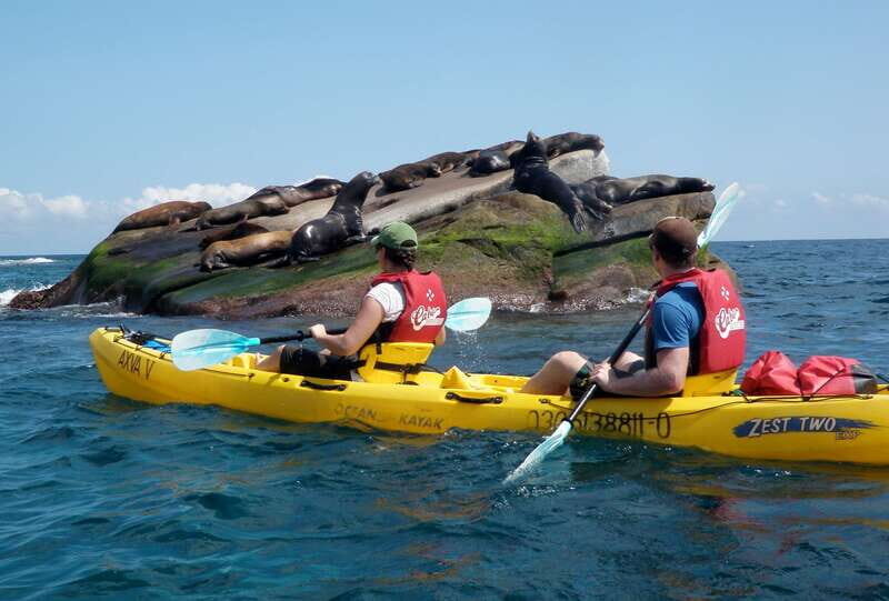 From Cabo: Cabo Pulmo Marine Park Snorkeling and Kayaking - Snorkeling: The Real Star