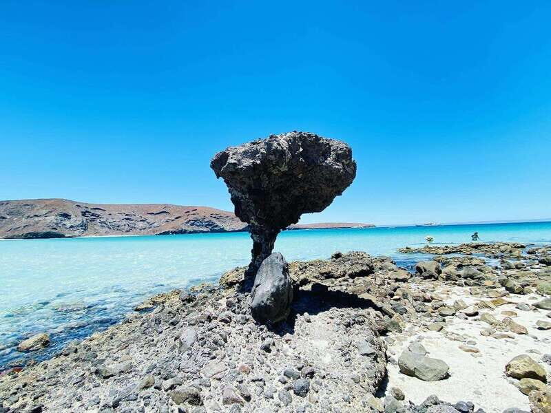 From Cabo/San José del Cabo: La Paz, Balandra & Todos Santos - A Deep Dive into the Tour