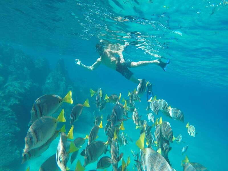 From Cabo San Lucas: Lovers Beach and El Arco Boat Trip - Key Points