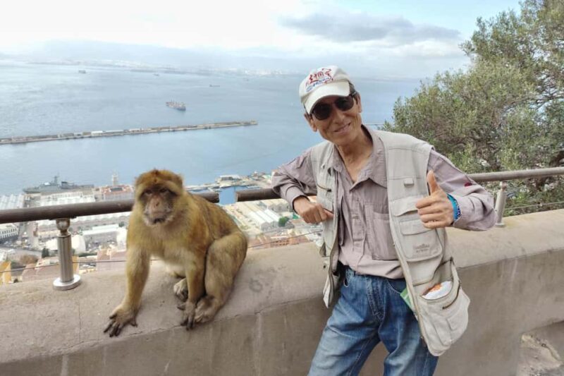 From Cadiz Bay: Gibraltar Day Trip with Rock Tour - Who Should Consider This Tour?