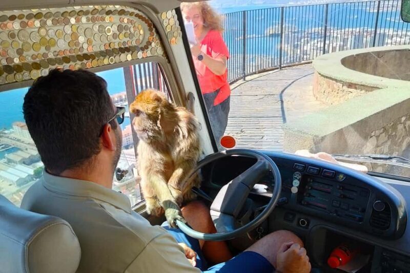 From Cadiz Bay: Gibraltar Day Trip with Rock Tour - The Sum Up