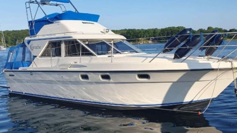 From Cagliari: Boat Tour in the Gulf of Angels - What to Expect from the Boat Tour