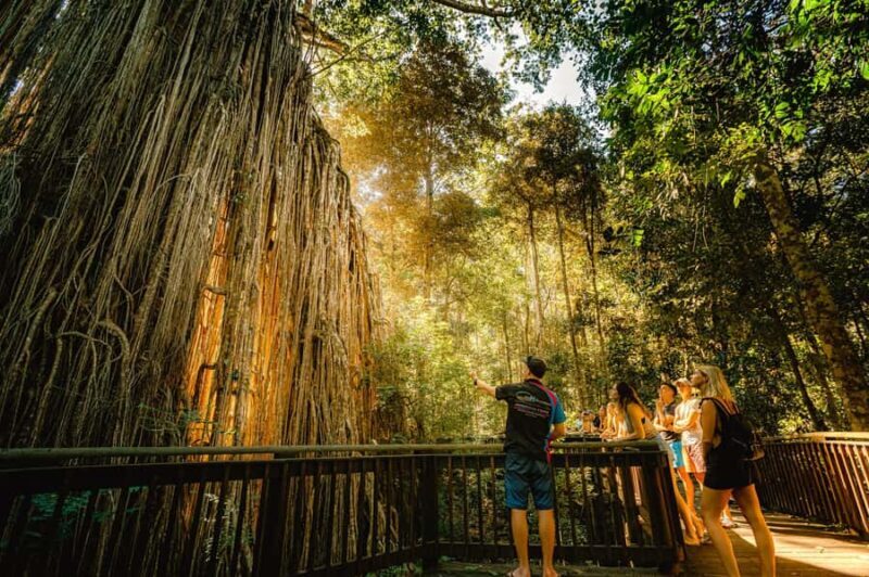 From Cairns: 2-Day Waterfall and Daintree Tour - What to Expect from the Cairns Waterfall and Daintree Tour