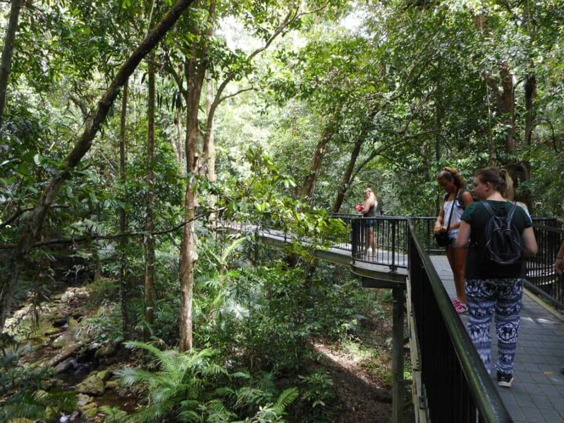 From Cairns: 2-Day Waterfall and Daintree Tour - The Sum Up