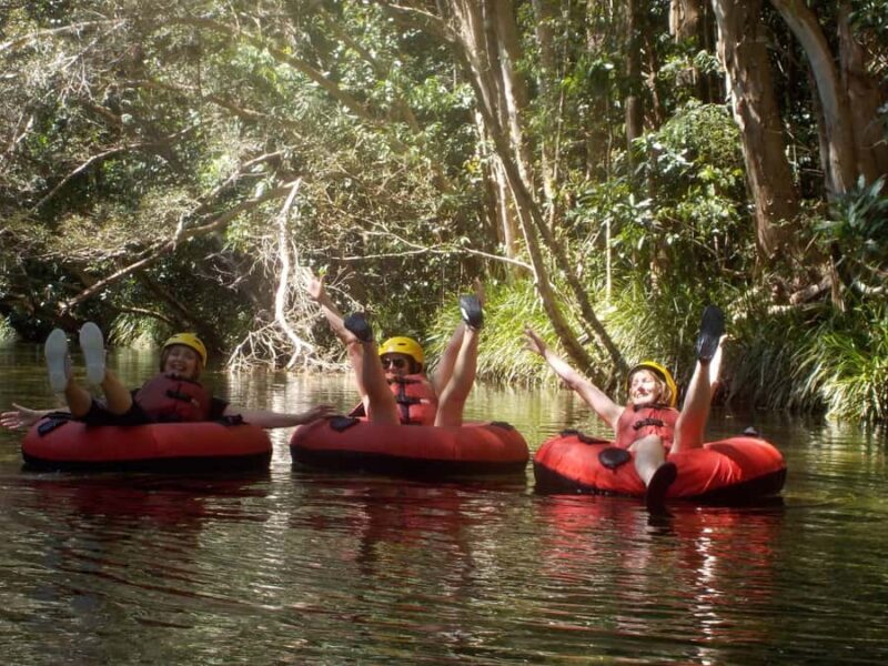 From Cairns and Northern Beaches: Rainforest River Tubing - Key Points