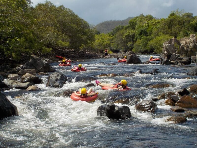 From Cairns and Northern Beaches: Rainforest River Tubing - Cost and Value