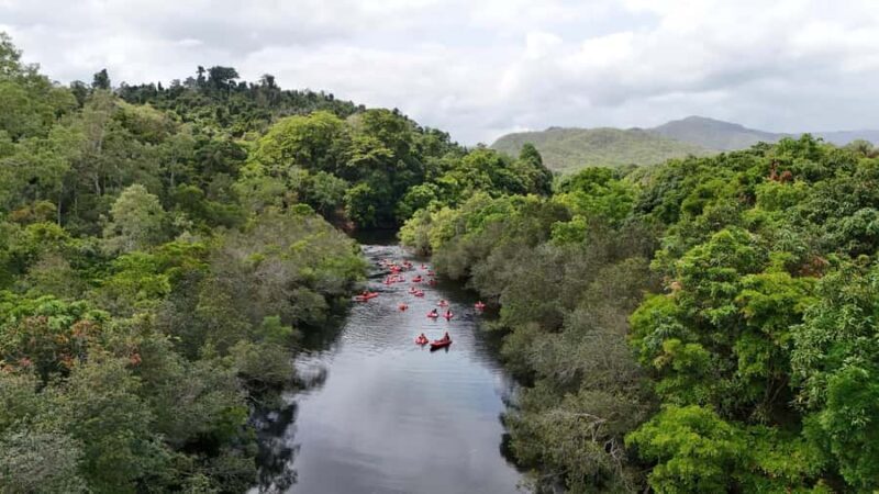 From Cairns and Northern Beaches: Rainforest River Tubing - Final Thoughts: Is It Worth It?