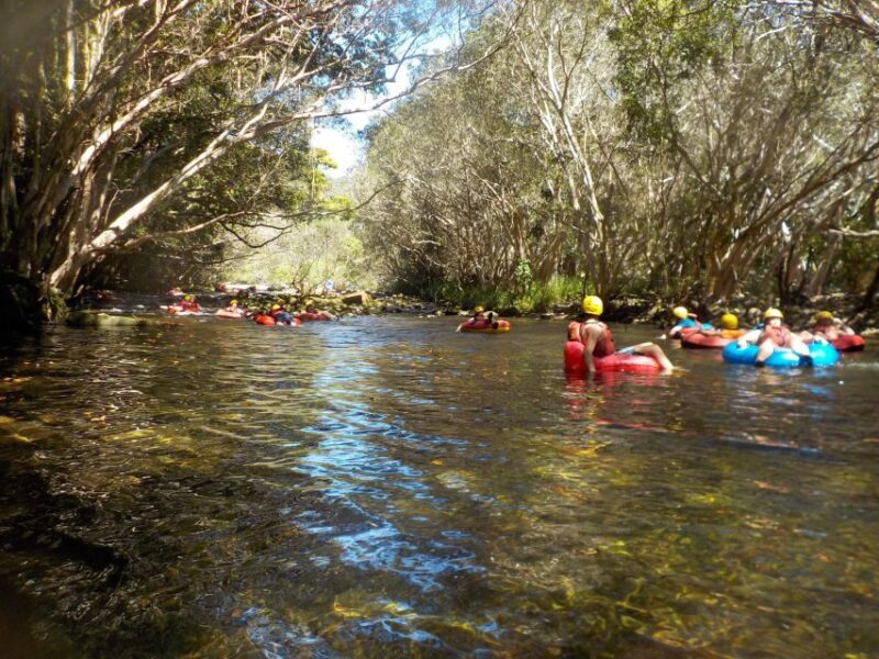 From Cairns and Northern Beaches: Rainforest River Tubing - FAQ