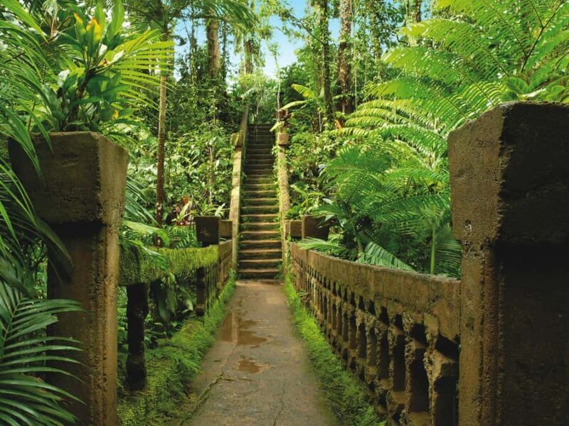 From Cairns: Atherton Tablelands and Paronella Park Day Trip - Final Thoughts