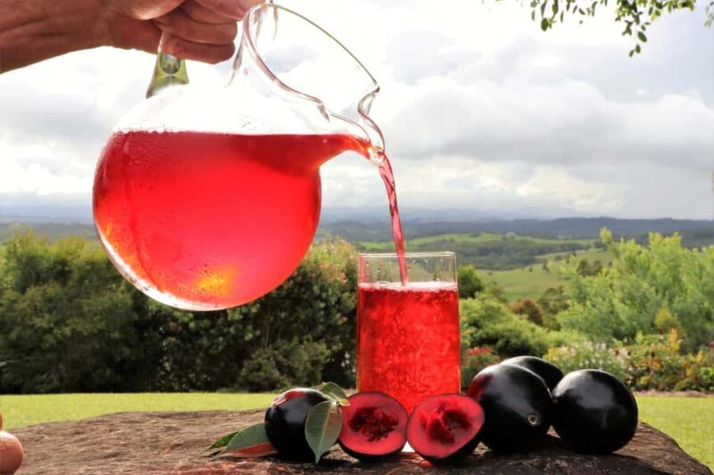 From Cairns: Atherton Tablelands Food and Wine Tasting Tour - Practical Details