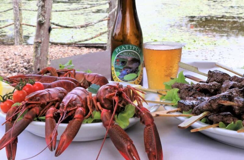 From Cairns: Atherton Tablelands Food and Wine Tasting Tour - Who Is This Tour Perfect For?