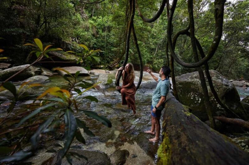 From Cairns: Barefoot Tablelands Waterfall & Rainforest Tour - How Good Is the Value?