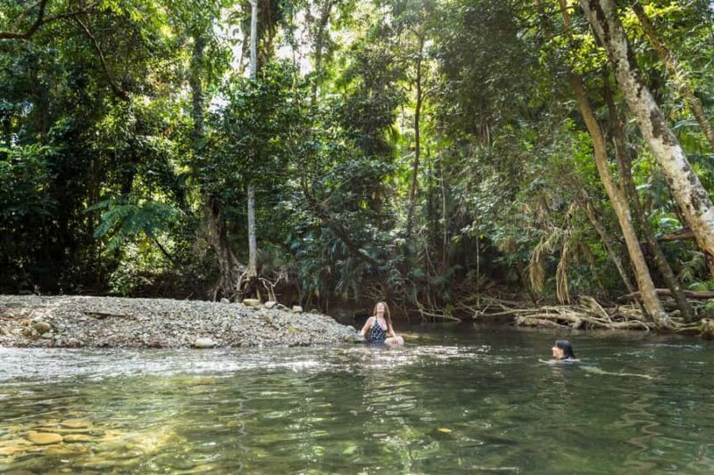 From Cairns: Daintree Rainforest & Cape Tribulation 4WD Tour - The Value for Money