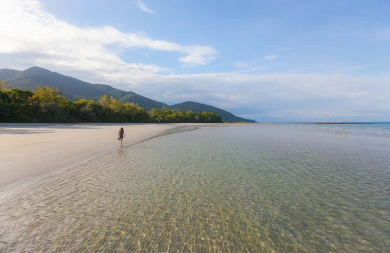 From Cairns: Daintree Wilderness & Cape Tribulation Bus Tour - Key Points