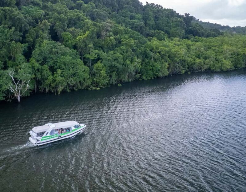 From Cairns: Frankland Islands Express Tour - Who Is This Tour Best Suited For?