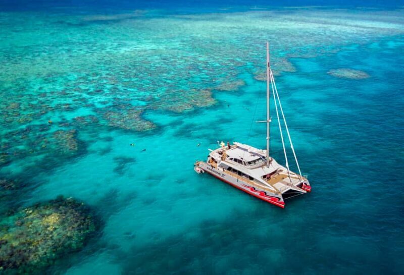 From Cairns: Great Barrier Reef Cruise by Premium Catamaran - Key Points