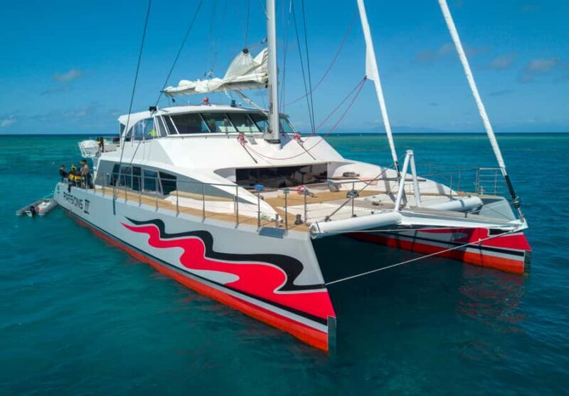 From Cairns: Great Barrier Reef Cruise by Premium Catamaran - Setting Sail for the Reef