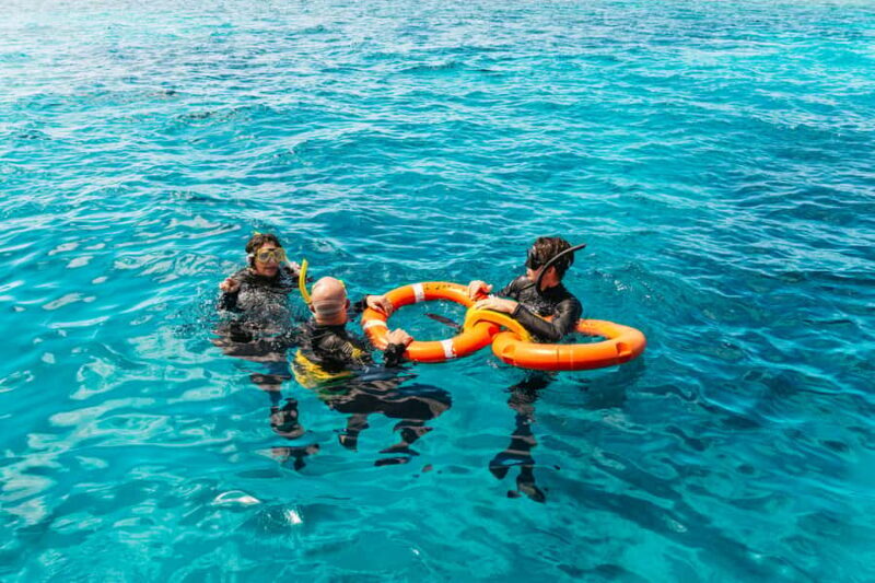 From Cairns: Great Barrier Reef Cruise by Premium Catamaran - Snorkeling & Diving: In-Water Experiences
