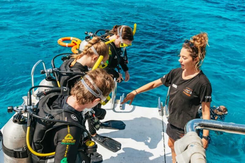 From Cairns: Great Barrier Reef Cruise by Premium Catamaran - The Value of This Trip