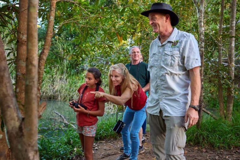 From Cairns: Rainforest & Nocturnal Wildlife Tour - Key Points